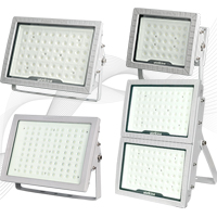 BLD150-LED防爆灯