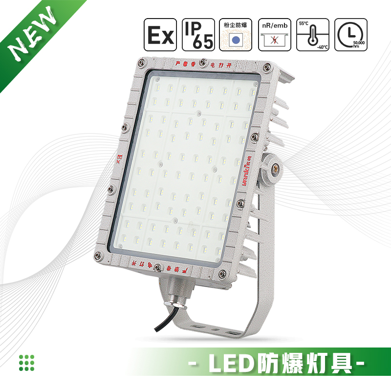 BLD170-LED防爆灯